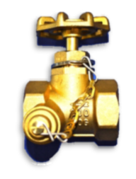 Drain Valve, With Sampler, 1 in. NPT, Model 173 Series